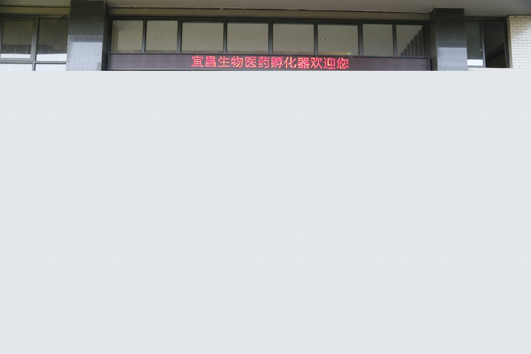 1566458520108392.jpg